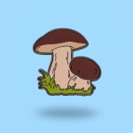 Pin Grzyby