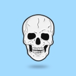 Pin Czaszka