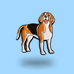 Pin pies Beagle